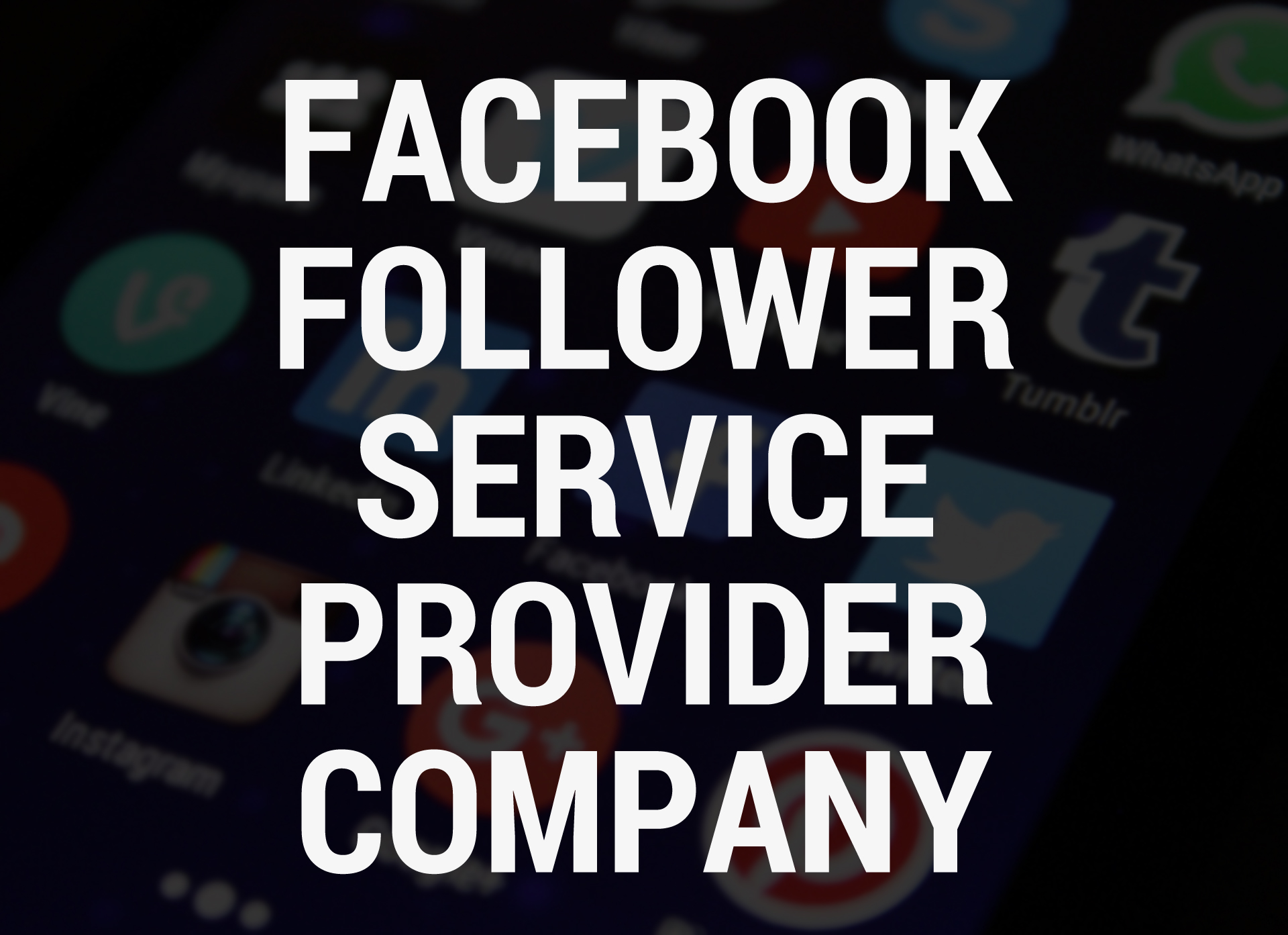 Facebook Follower Service